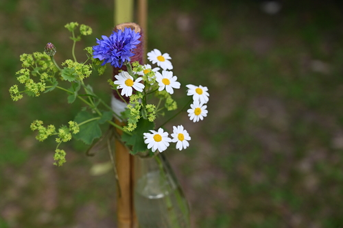 W'ortwechsel in Arbogast mit: Edith Klinger, Philipp Lingg, Propst Martin Werlen, Journalist Matthias Neust?dter, Bischof benno Elbs, Kabarettistin Maria Neuschmid, Lisa Klotz, Naturschutzanw?ltin Katharina Lins und Clownfrau Elke Maria Riedmann