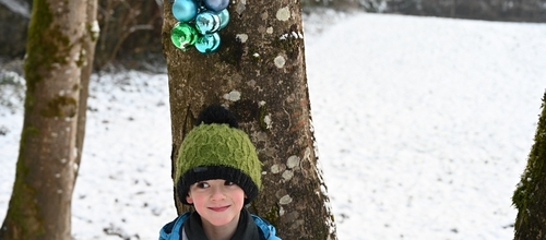 Kath Kirche Vorarlberg / Fehle